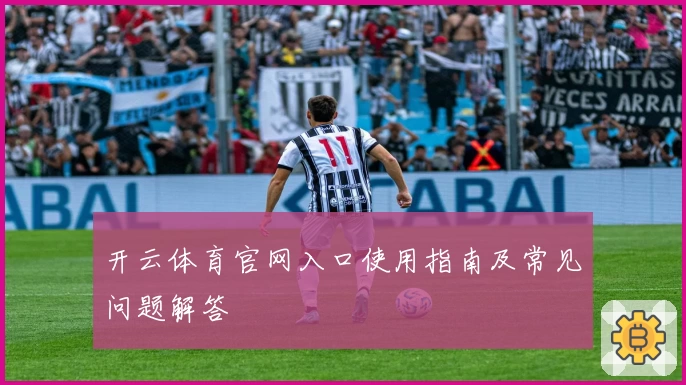 开云体育官网入口使用指南及常见问题解答
