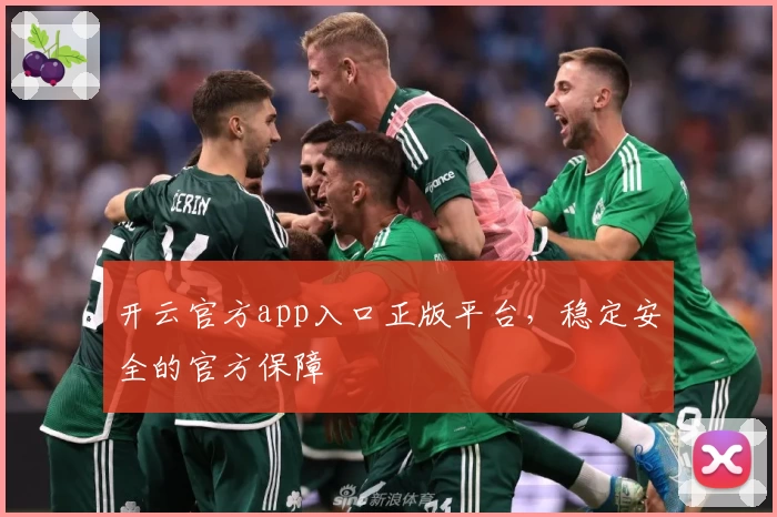 开云官方app入口正版平台，稳定安全的官方保障